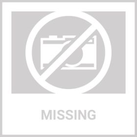 American Local Tactical Pet Boobs Service Dog Harness Vest Adjustable Reflective Dog Harness Metal Buckle Hiking Training (Option: Tan-S)